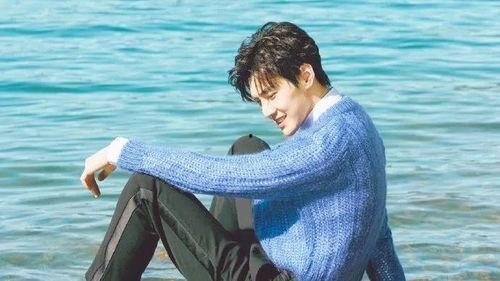 林雨申杨宝宝最新爆料,揭秘娱乐圈幕后真相  第1张